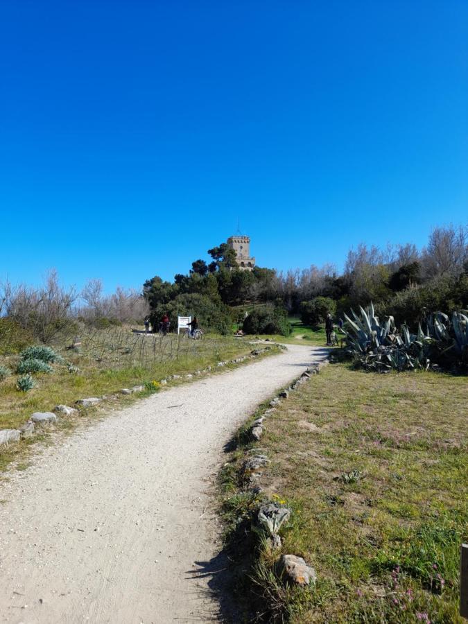 Bouganville Casa Vacanza Ambiente Climatizzato Con Wi Fi Pineto Luaran gambar