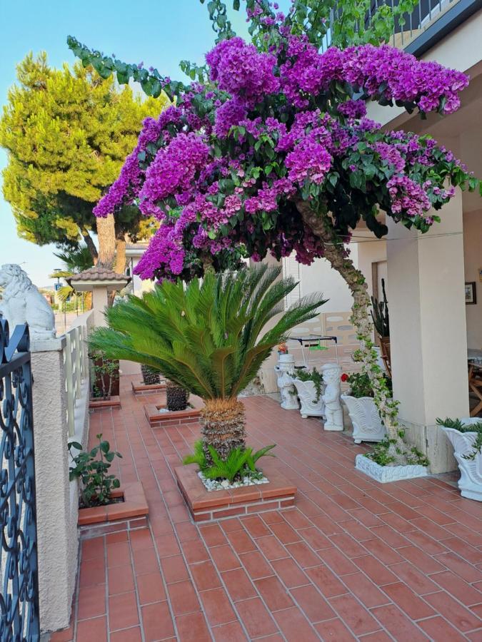 Bouganville Casa Vacanza Ambiente Climatizzato Con Wi Fi Pineto Luaran gambar