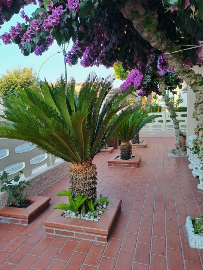 Bouganville Casa Vacanza Ambiente Climatizzato Con Wi Fi Pineto Luaran gambar