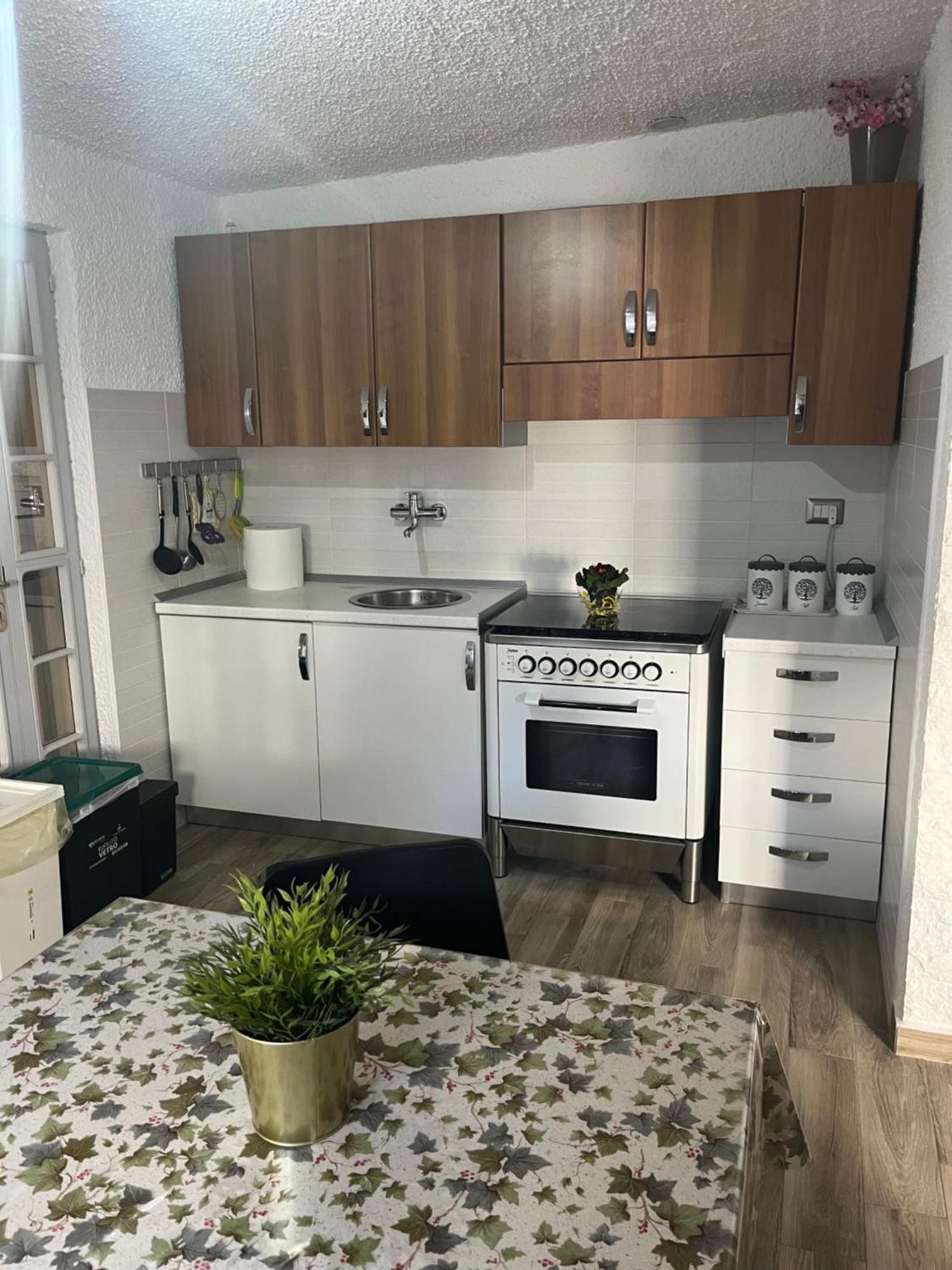 Bouganville Casa Vacanza Ambiente Climatizzato Con Wi Fi Pineto Luaran gambar